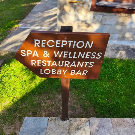 Apartman Deluxe King With Mountain View And Rilski