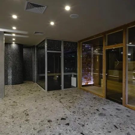 Apartman Deluxe King With Mountain View And Rilski