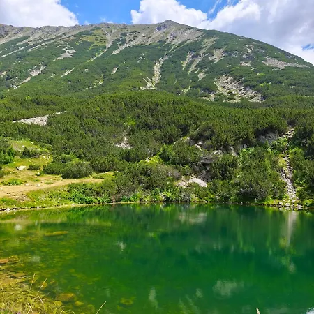 Deluxe King With Mountain View And Rilski * Μπάνσκο