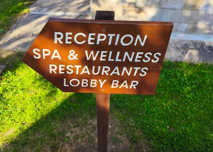 Апартамент Deluxe King With Mountain View And Rilski