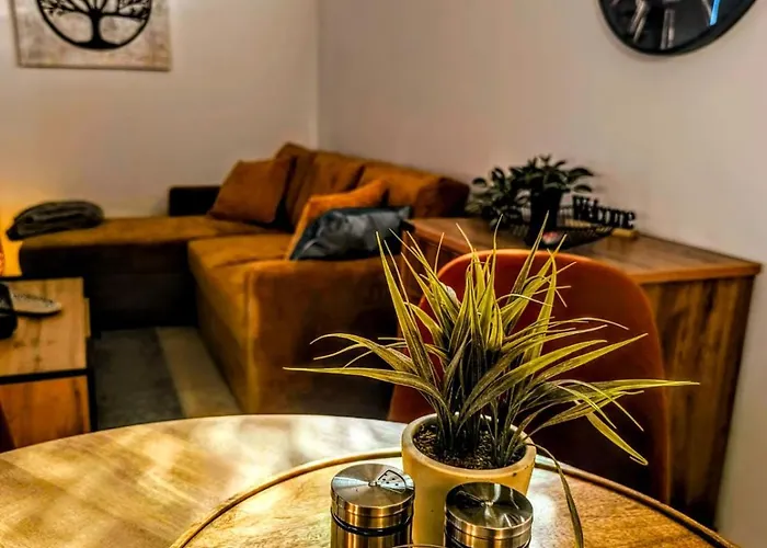 Deluxe King With Mountain View And Rilski Апартамент Банско