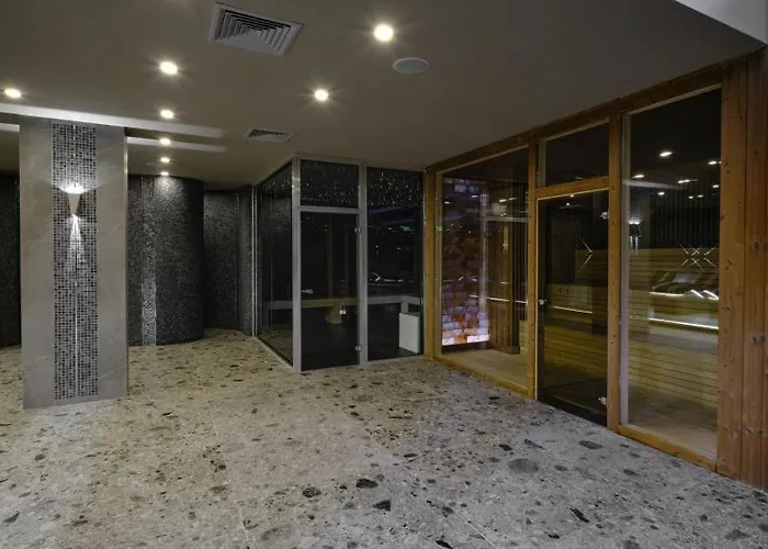 Апартамент Deluxe King With Mountain View And Rilski